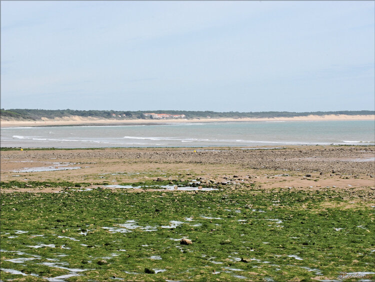 Photo de la Baie de l'Aiguillon en Vendée