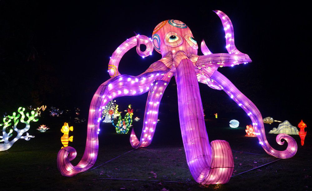 Les lumières légendaires à Bordeaux - Le monde sous-marin...