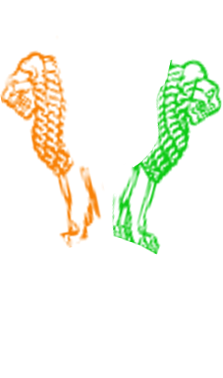 AUTO DÉTERMINATION DES PEUPLES VS AUTO GLORIFICATION NATIONALISTE, L'INDE FACE À SES ZONES D'OMBRE...