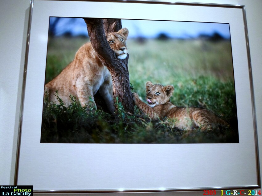 EXPOSITION PHOTO LA GACILLY 56  2/4  18/08/2014