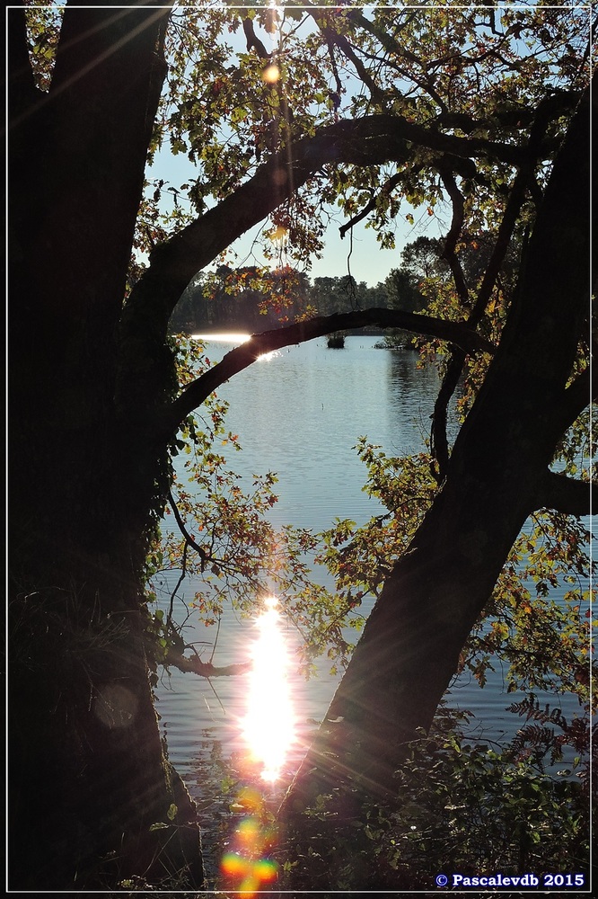 Reflets et lumières d'automne au lac du Bousquey - 2/6