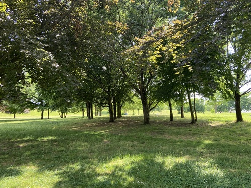 Parc Interdépartemental - Plaine nord