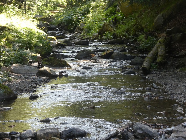 Peut être une image de étendue d’eau