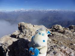 mascotte en montagne