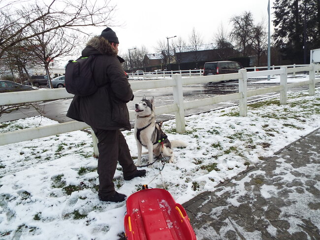 Jeux de neige