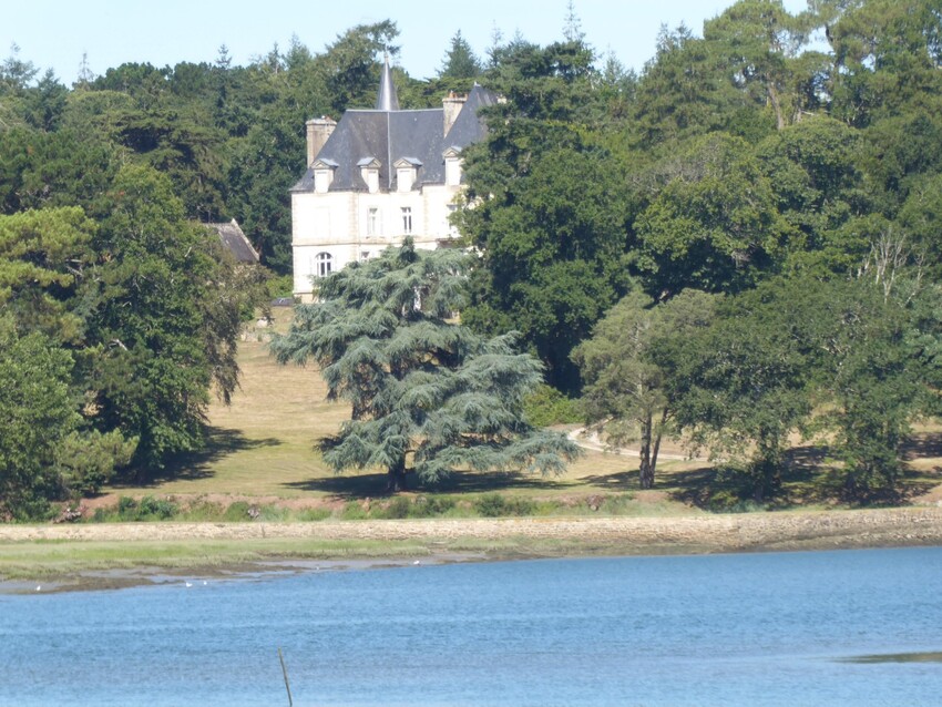 Marécage,à côté de Crac'h,Morbihan.