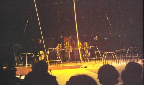 instants de cirque chez Jean Richard à le 18 juin 1969 à Millau ( archives J. Cl. Murat)