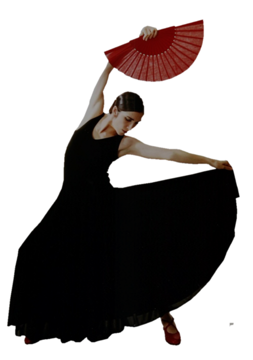Danse flamenco