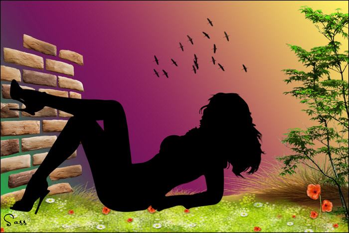 Créer vos propres silhouettes (partie 1)