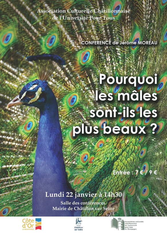 "Pourquoi les mâles sont-ils les plus beaux ?", une conférence de Jérôme Moreau pour l'Association Culturelle Châtillonnaise