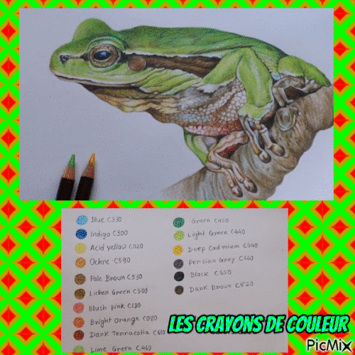 Dessin et peinture - vidéo 3716 : Comment dessiner ou peindre une grenouille verte ? - crayons de couleur. 
