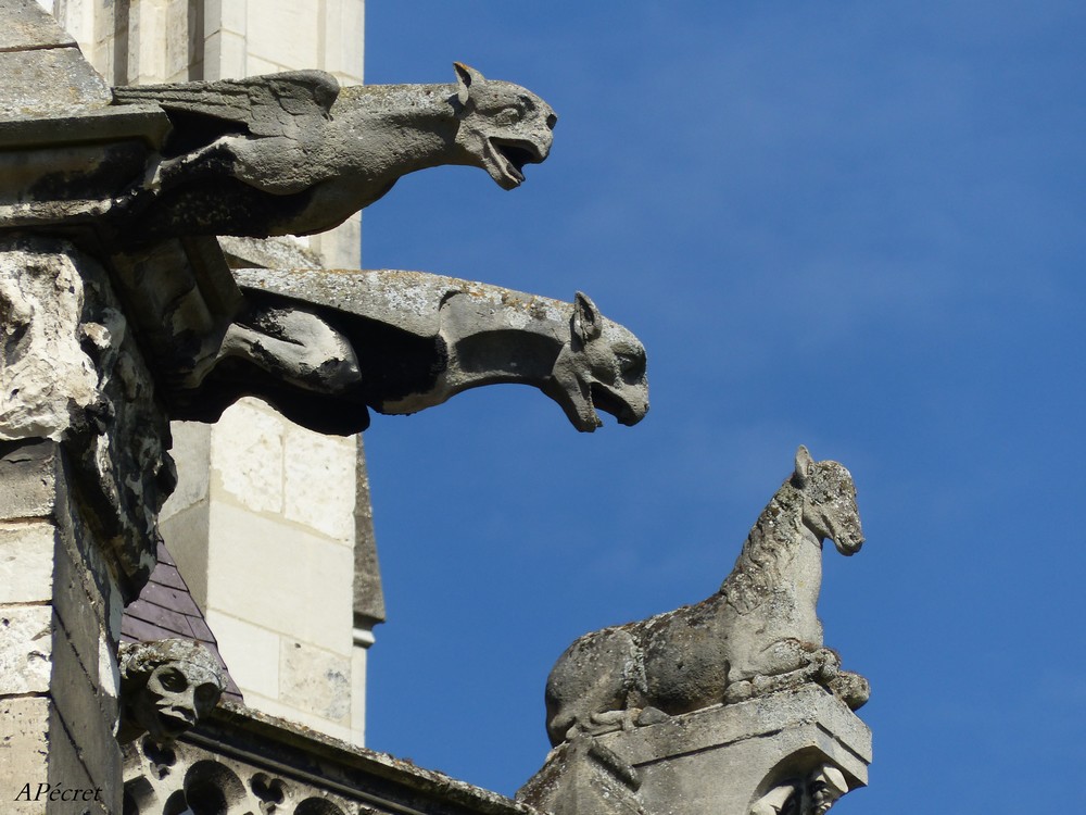 Quoi de neuf à Amiens ? 