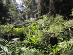 Khao Yai : immersion dans la jungle thaïlandaise