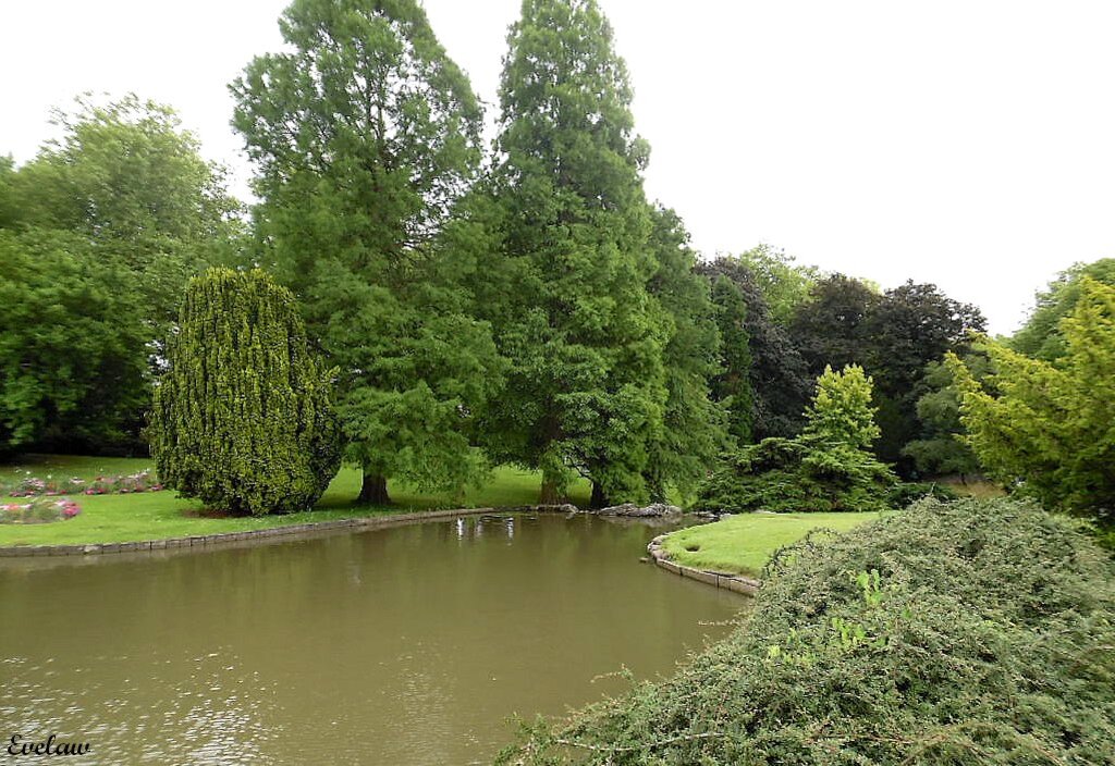 PROMENADES AU PARC  BARBIEUX  EN TOUTES SAISONS