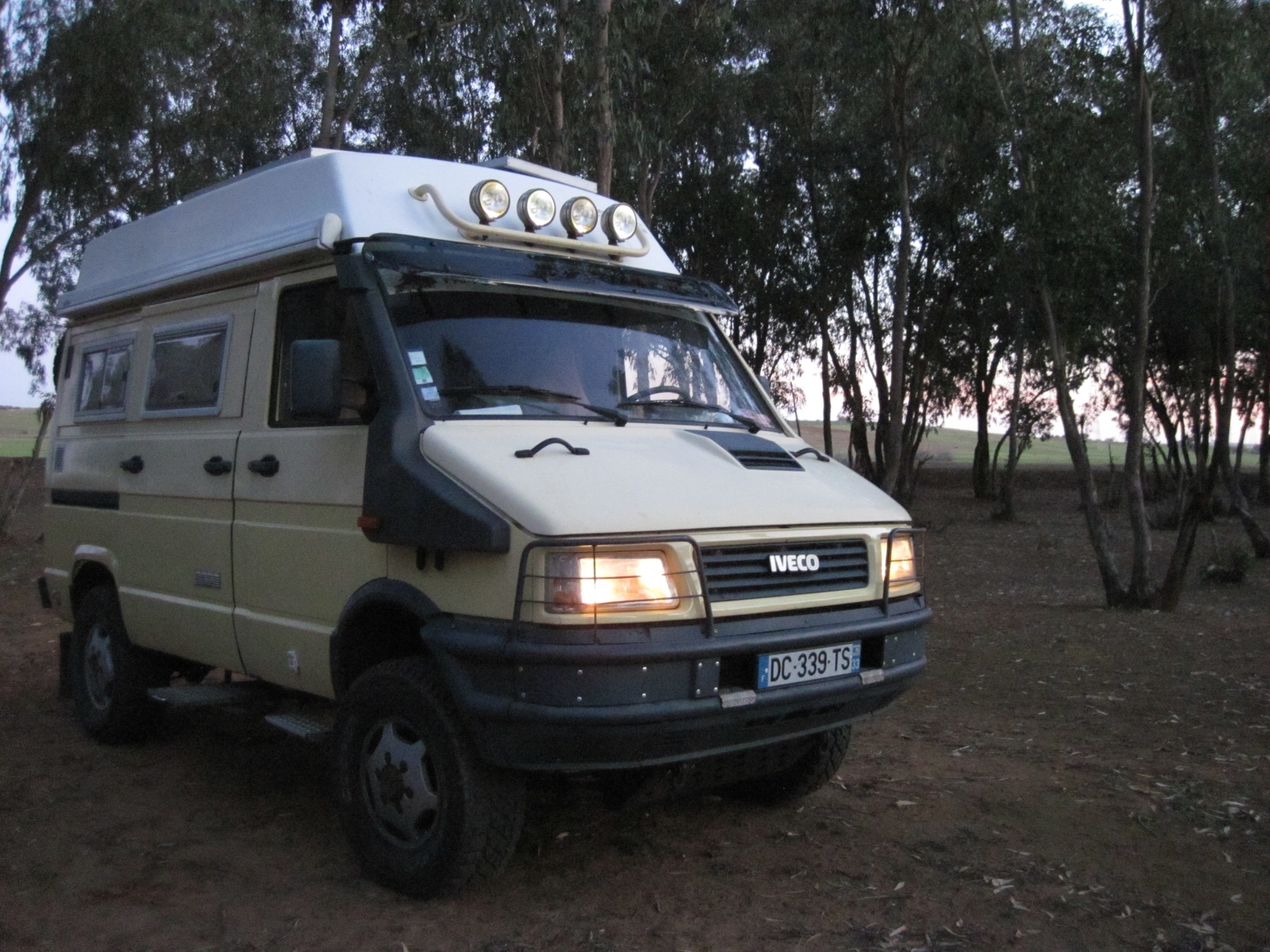 040 Maroc Bivouac Bois d\'eucalyptus