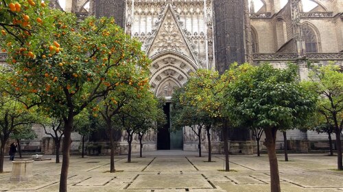 Patrimoine mondial de l'Unesco : La cathédrale, l'Alcazar et l'Archivo de Indias à Séville - Espagne