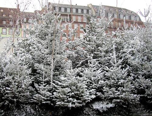 Les marchés de Noël