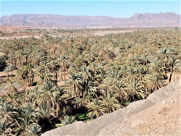 10/11 Janvier en route pour Zagora