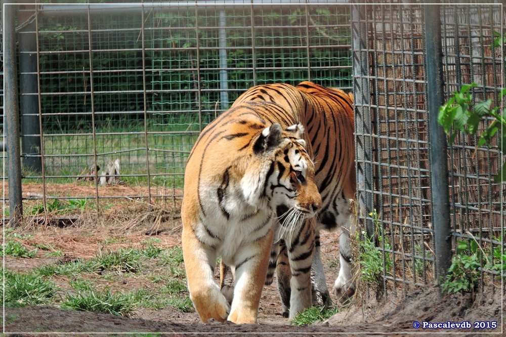 Zoo du Bassin d'Arcachon à La Teste - Août 2015 - 6/11