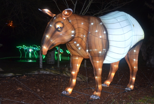 Une exposition extraordinaire au Jardin des Plantes