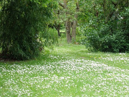 Tout en Blanc (1)