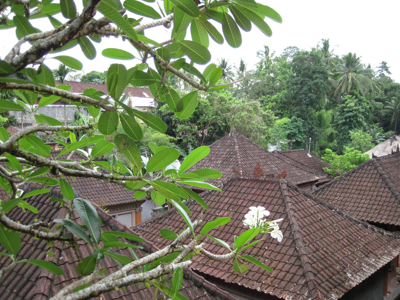 Puri Saraswati bungalow, centre d'Ubud - Bali