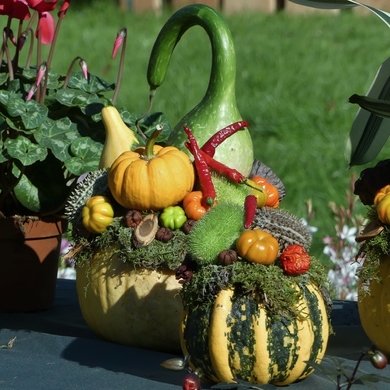 Ce weekend : édition d'automne des Journées des Plantes de Chantilly...