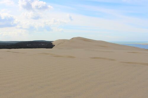 Circuit pédestre de la Dune du Pilat 