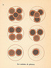 5doigtsmain p43