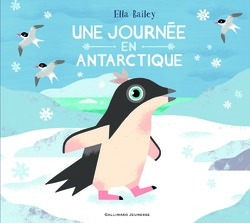 L'Antarctique : la banquise