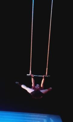 CM1 A spctacle de cirque pour noel