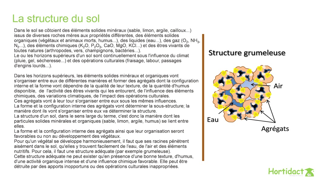 Le sol : structure, CAH et CEC