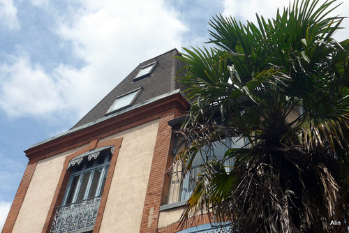 Les palmiers en façade !