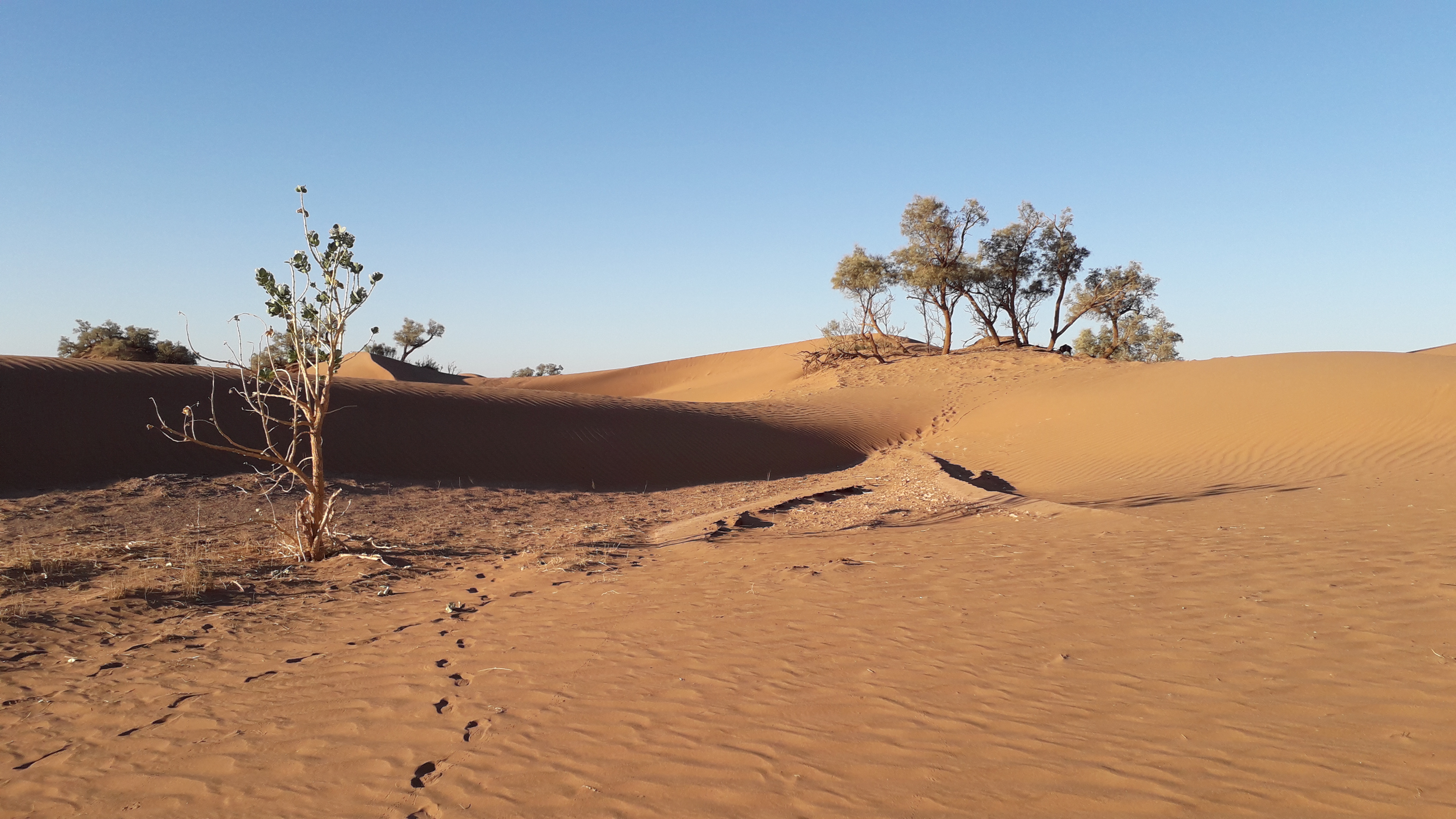 Sand River Bivouac au pied de dunes