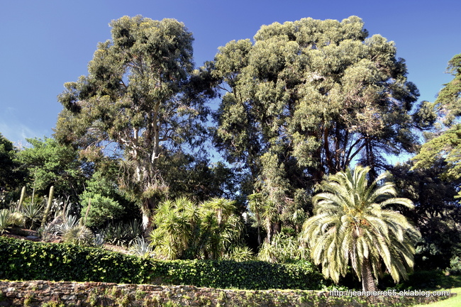 2015.03.26 Bormes les Mimosas, Domaine de Rayol (département du Var) 2