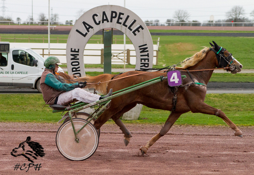 Prix d'Etreaupont