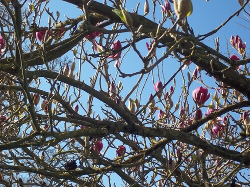 Balade du 9 Avril à Provins