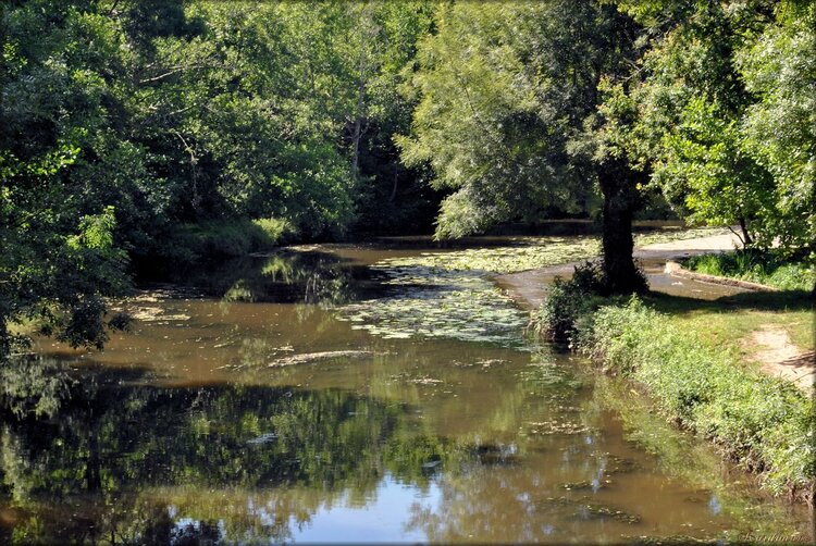 Photo du Moulin à eau de Rambourg (Vendée)