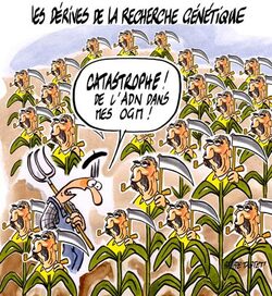 OGM, vers une alerte mondiale