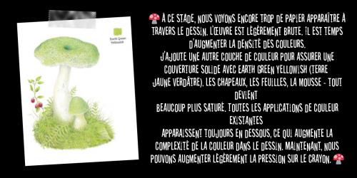 Dessin et peinture - vidéo 3360 : Comment dessiner un champignon en couleur ? - crayons de couleur. 