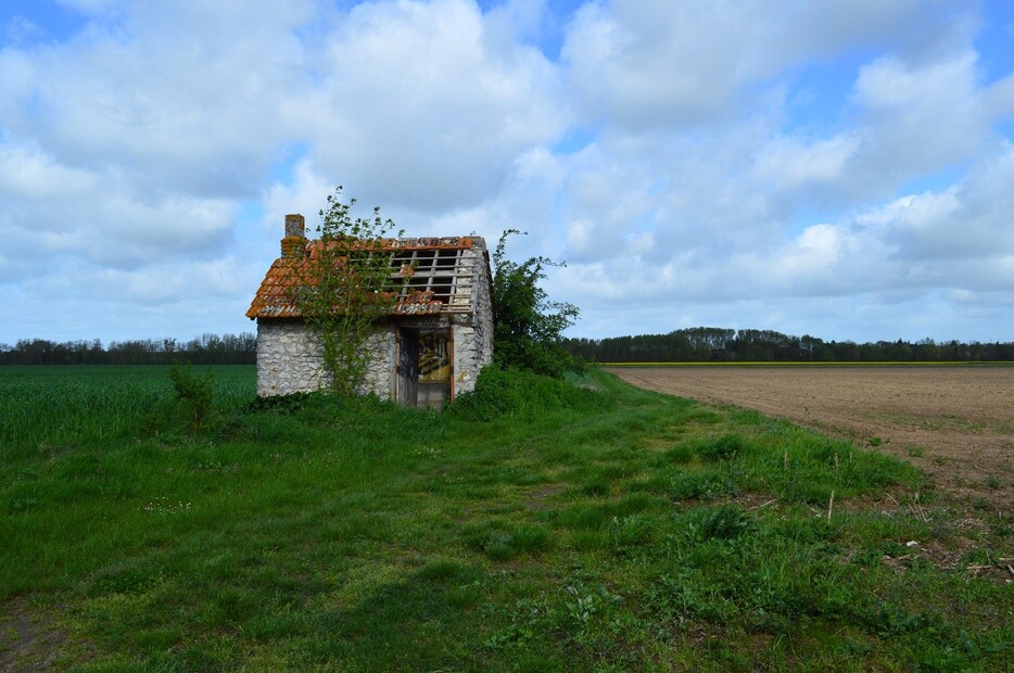 Rando Beaugency/Lestiou