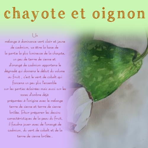 Dessin et peinture - vidéo 4107 : Comment peindre chayote et oignon 1/2 ? - aquarelle.