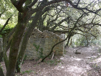 Les ruines du moulin