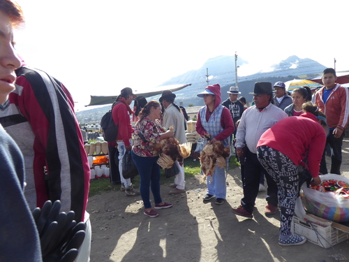 2 ème jour marché d'Otavalo