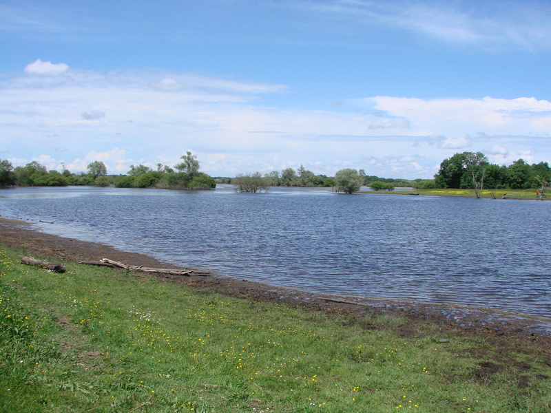 Le marais de Goulaine