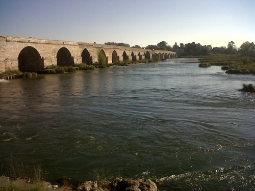 COULEURS D'AUTOMNE A BEAUGENCY