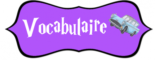vocabulaire: le mot de passe de la grosse dame