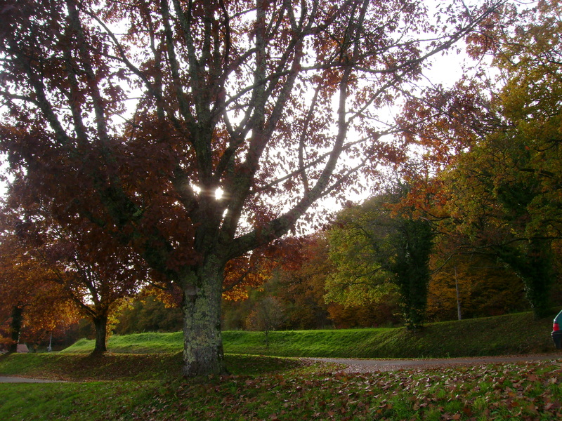 IMAGES D'AUTOMNE AU PLAN D'EAU DE ROCHECHOUART . 87600