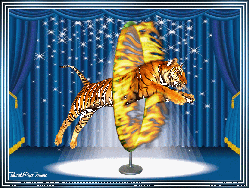 Mes Tutos Animation page 2