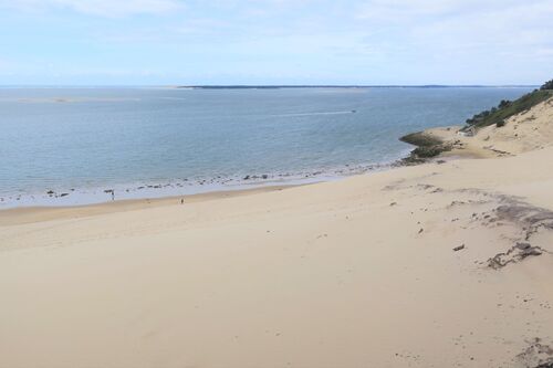 Circuit pédestre de la Dune du Pilat 